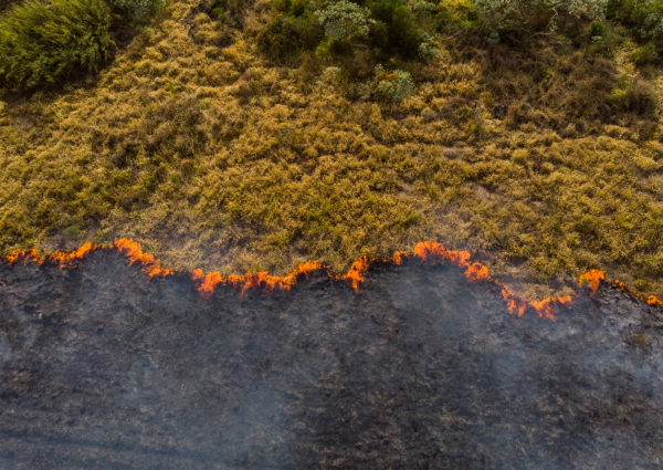 The Impact of Climate Change on Social Crises